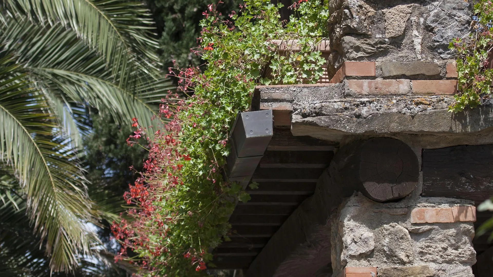 Villa Casale Aronne Massa Marittima Alloggio per agriturismo