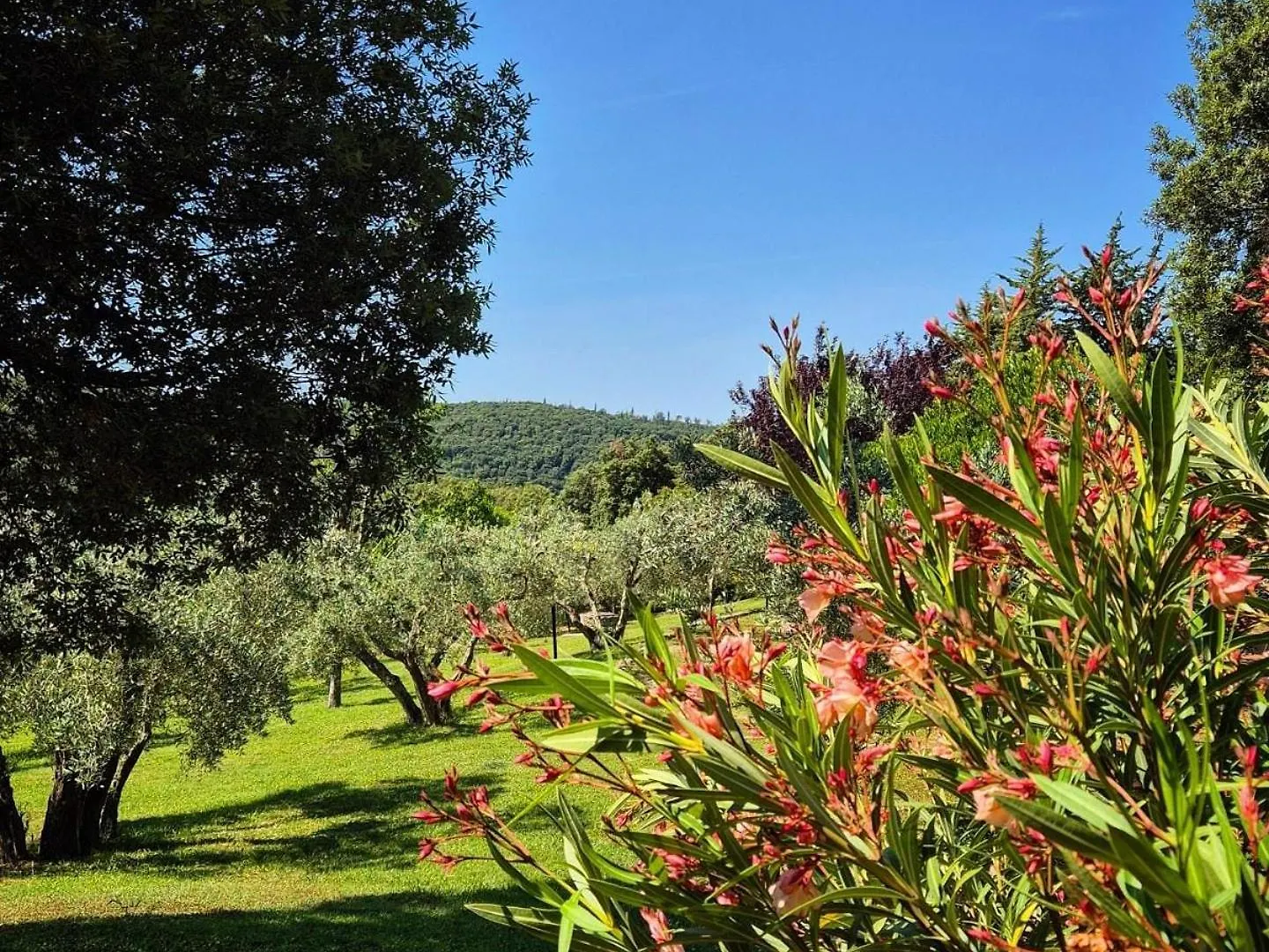 Tenuta Aronne Massa Marittima