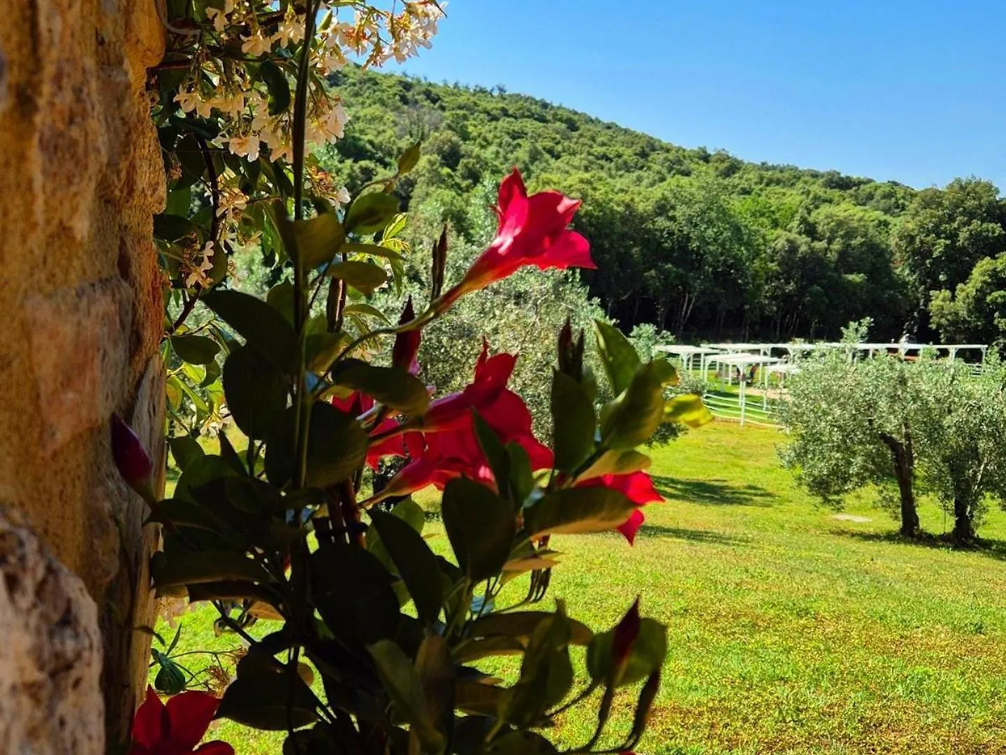 Tenuta Aronne Massa Marittima 0*,
